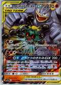 Marshadow & Machamp GX 067/173 Double Rare Tag All Stars Pokemon Japanese NM