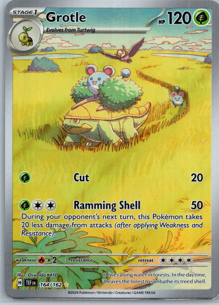 Grotle 164/162 Illustration Rare Temporal Forces Pokemon Near Mint