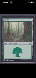 10x Forest Basic Land (random art versions) - NM
