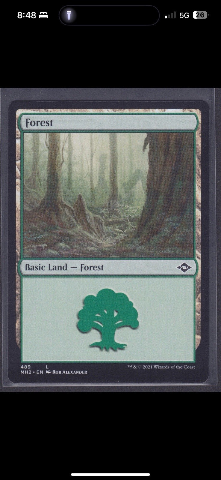 10x Forest Basic Land (random art versions) - NM