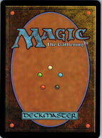 Horses of the Bruinen Lord of the Rings: Magic: The Gathering NM