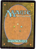 Mikey & Don, Party Planners teenage Mutant Ninja Turtles Magic: The Gathering NM