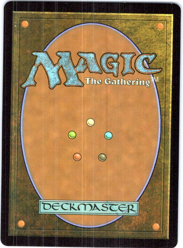 Mikey & Don, Party Planners teenage Mutant Ninja Turtles Magic: The Gathering NM