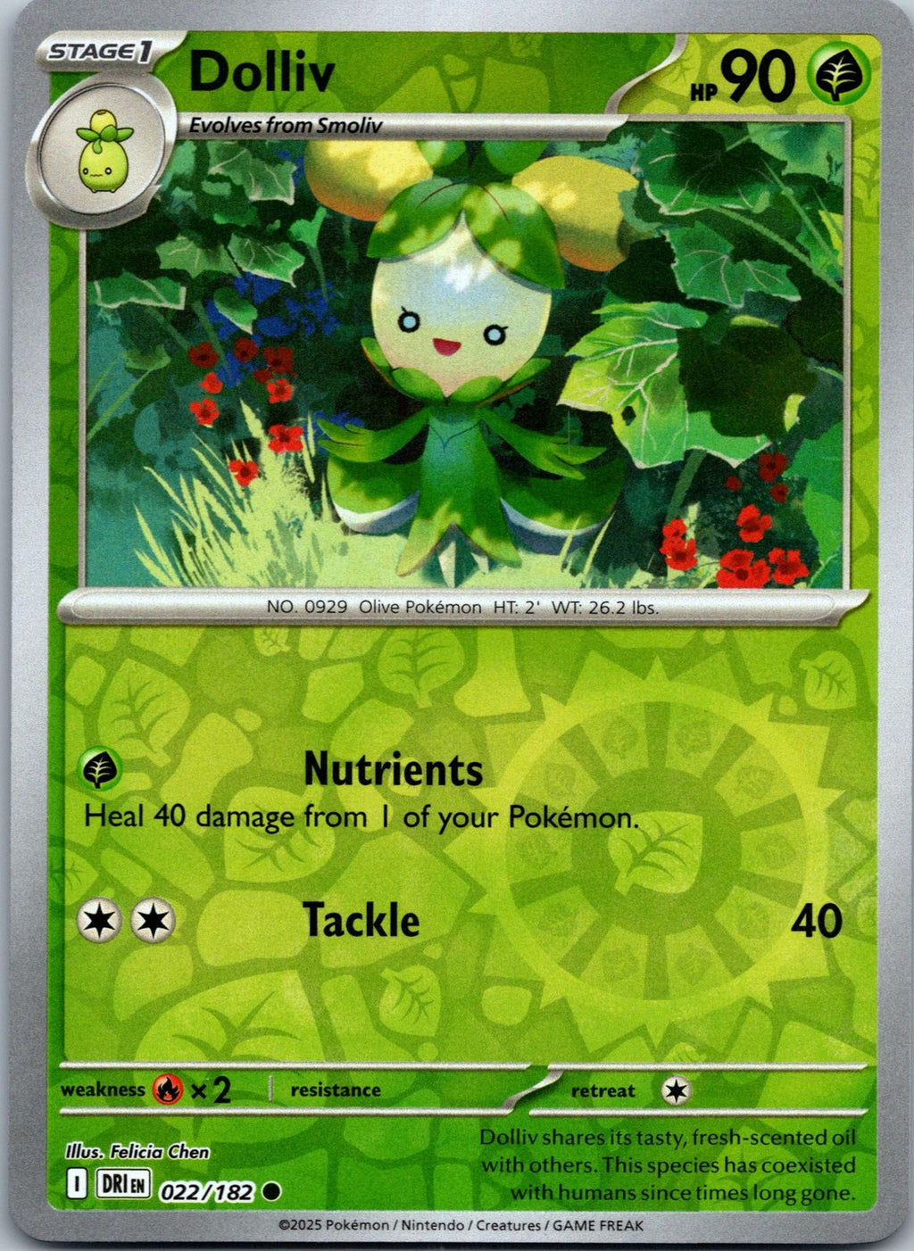 Dolliv 022/182 Common Destined Rivals Pokemon Near Mint