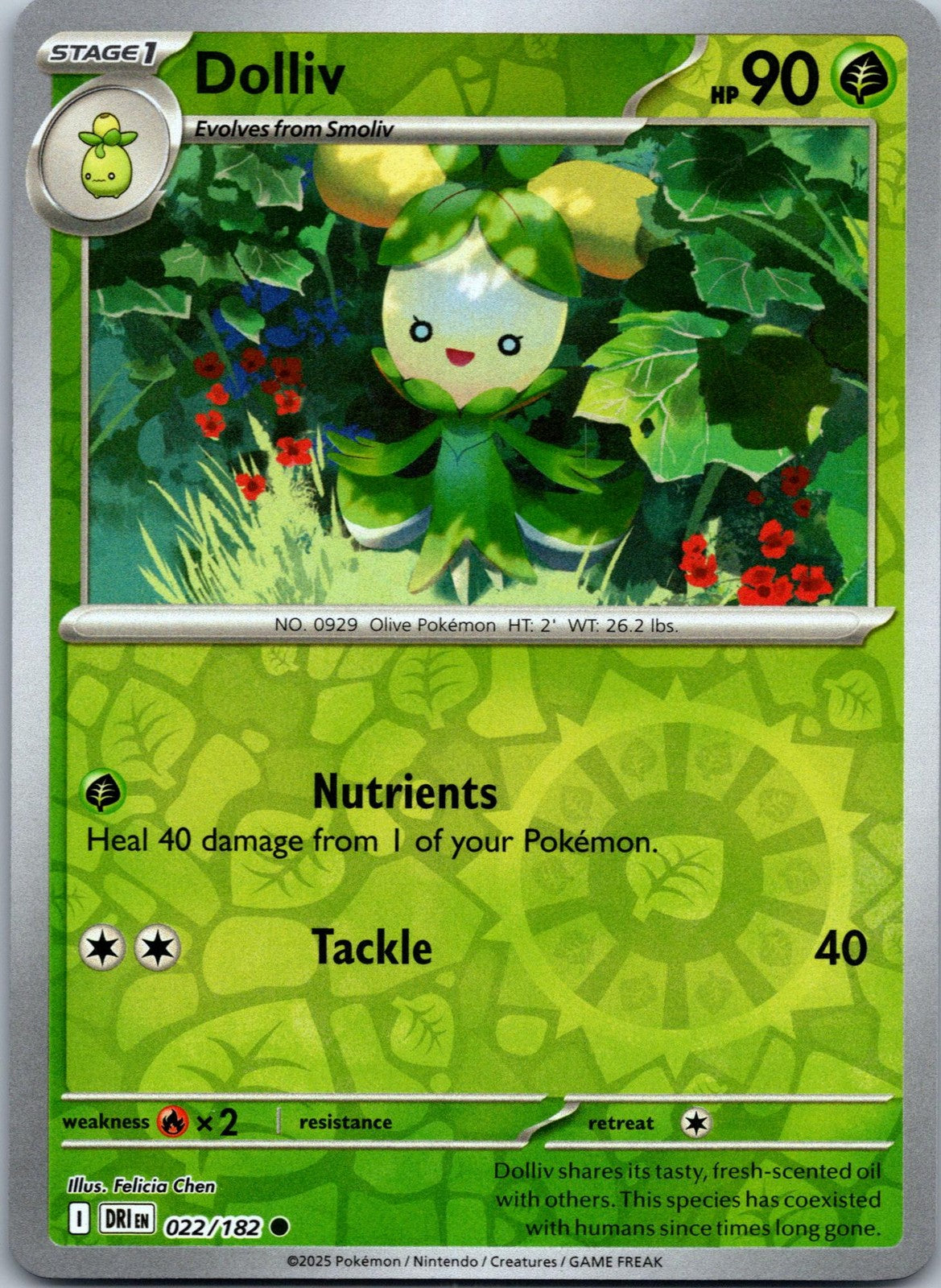 Dolliv 022/182 Common Destined Rivals Pokemon Near Mint