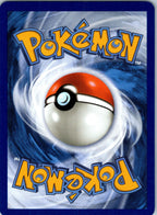 Krookodile 066/094 Uncommon Phantasmal Flames Pokemon Near Mint