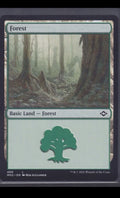 10x Forest Basic Land (random art versions) - NM