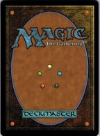 The Wandering Minstrel 249 Rare FINAL FANTASY Magic: The Gathering Near Mint