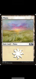 Magic the Gathering Land Card set 10 Units of Plains (random arts)