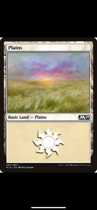Magic the Gathering Land Card set 10 Units of Plains (random arts)
