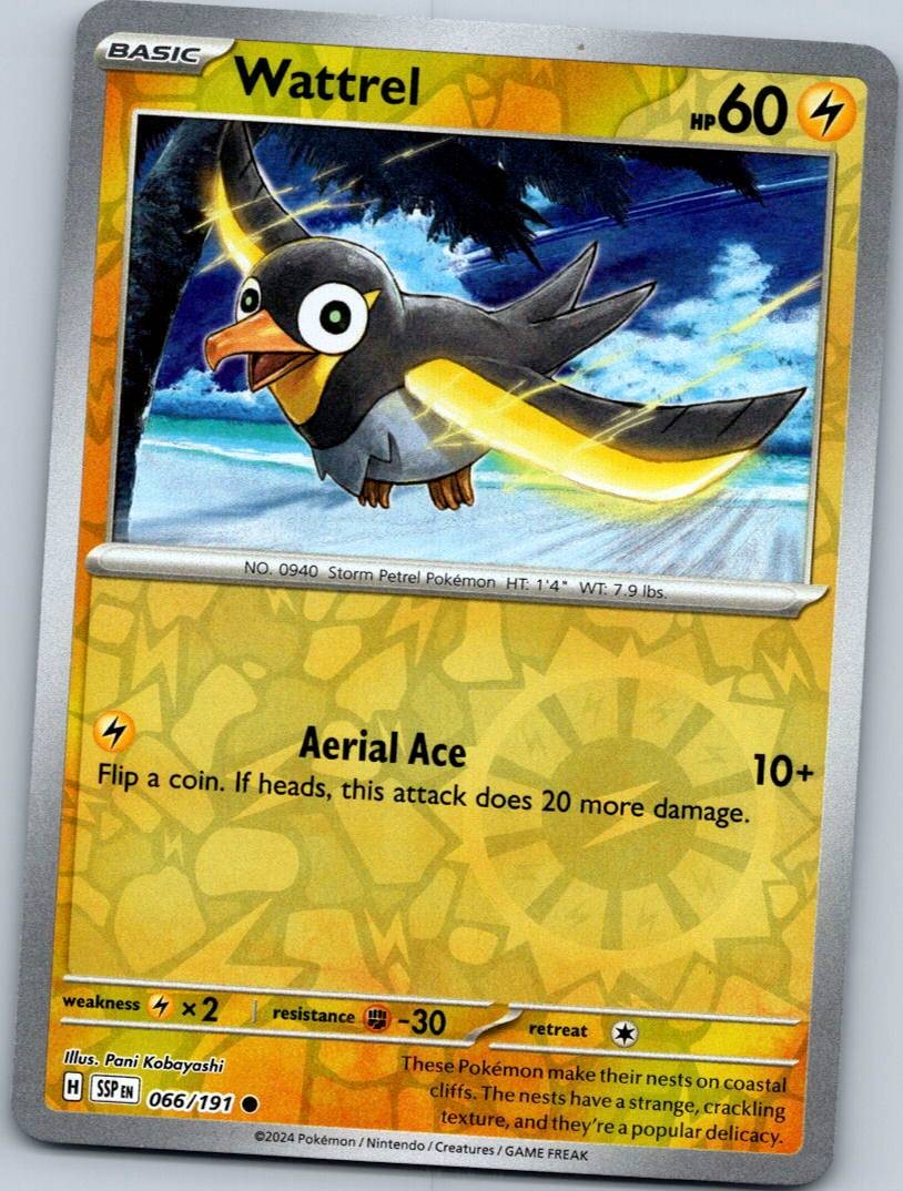 Wattrel 066/191 Common Surging Sparks Pokemon Reverse Holo Near Mint