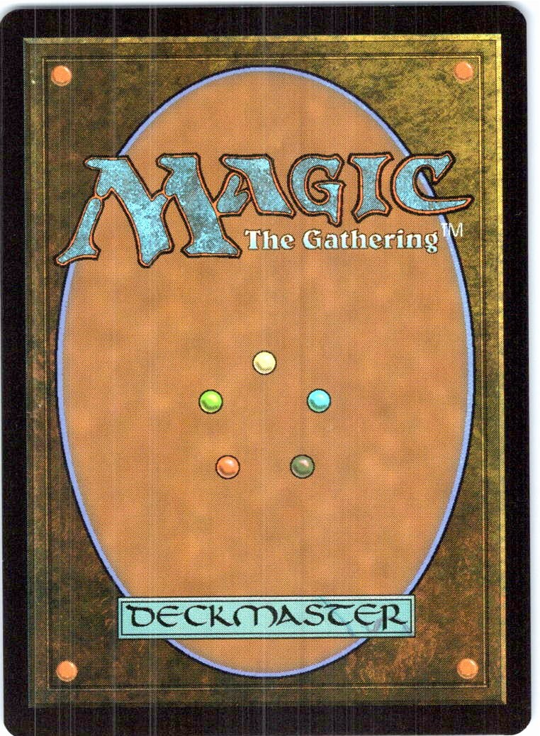 Chrome Dome 0172 Rare Teenage Mutant Ninja Turtles Magic: The Gathering NM