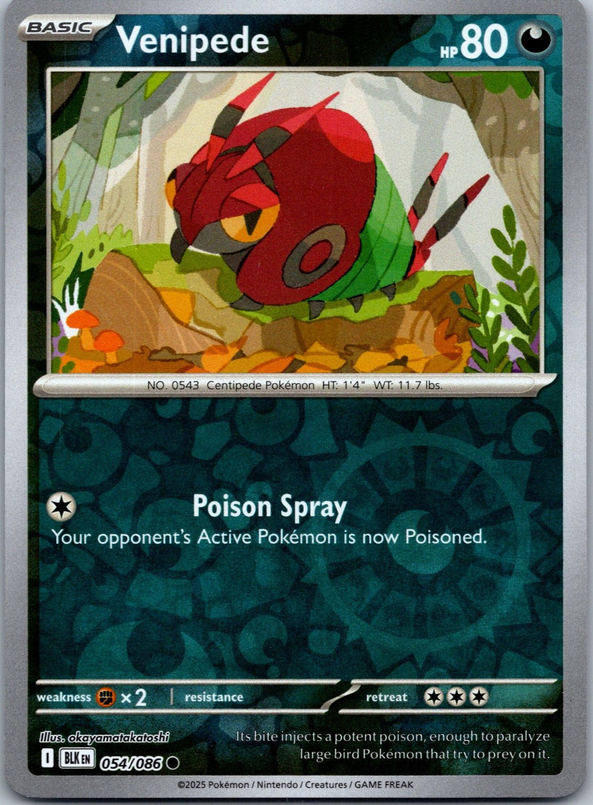 Venipede 054/086 Common Black Bolt Pokemon Near Mint