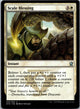 Scale Blessing 35 Uncommon Dragons of Tarkir Magic: The Gathering Near Mint