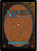 Nameless Inversion 113 Uncommon Lorwyn Eclipsed Magic: The Gathering Near Mint