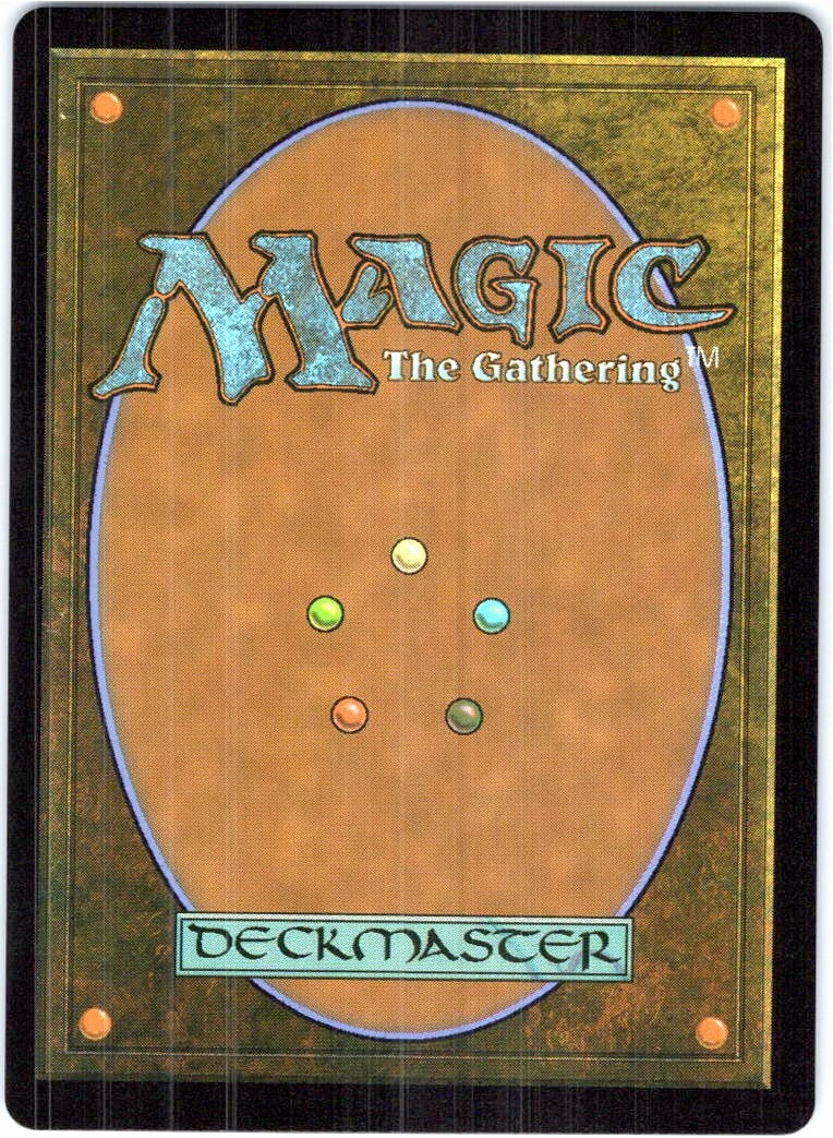 Raph & Leo, Sibling Rivals Teenage Mutant Ninja Turtles Magic: The Gathering NM