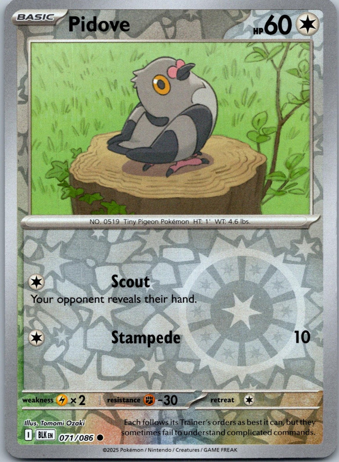 Pidove 071/086 Common Black Bolt Pokemon Near Mint