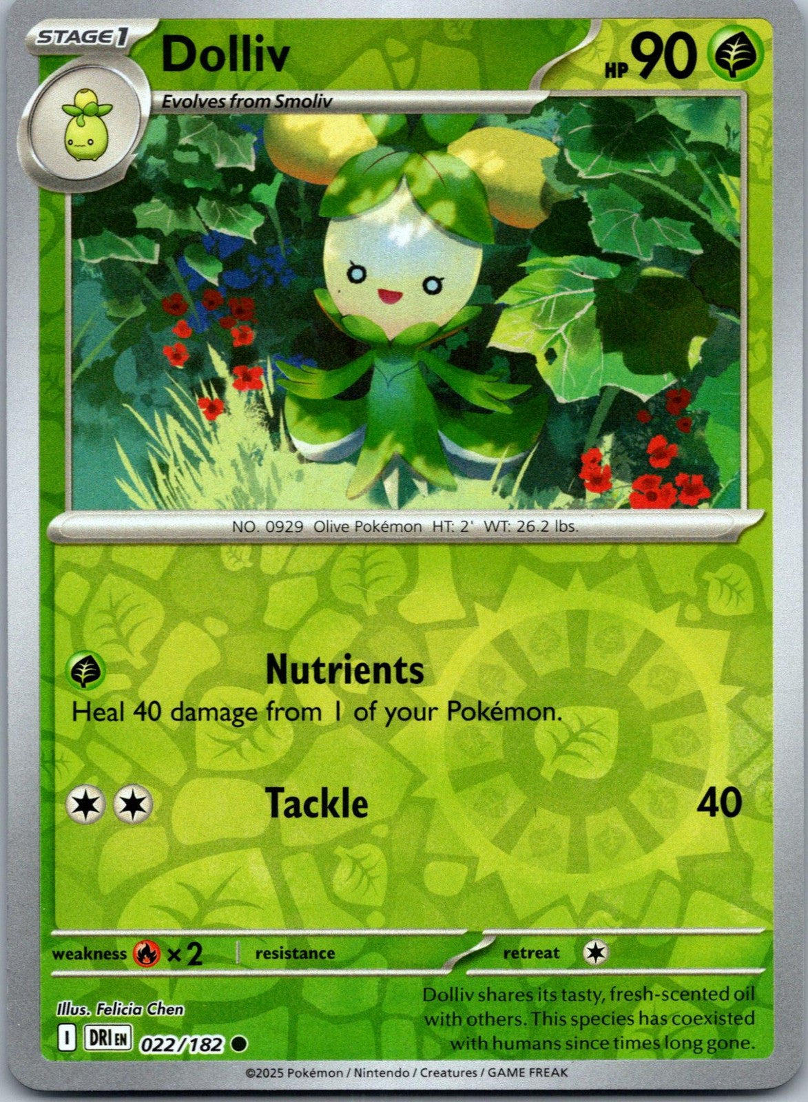 Dolliv 022/182 Common Destined Rivals Pokemon Near Mint