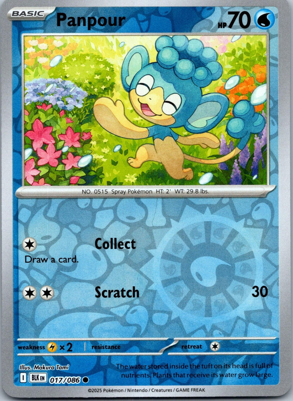 Panpour 017/086 Common Black Bolt Pokemon Near Mint