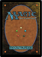 Tidus, Blitzball Star 246 Uncommon Final Fantasy Magic: The Gathering NM | HOKO