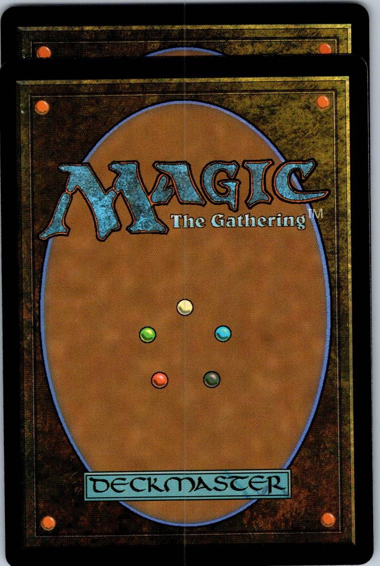 Canopy Spider 191 Common Battlebond Magic: The Gathering Near Mint