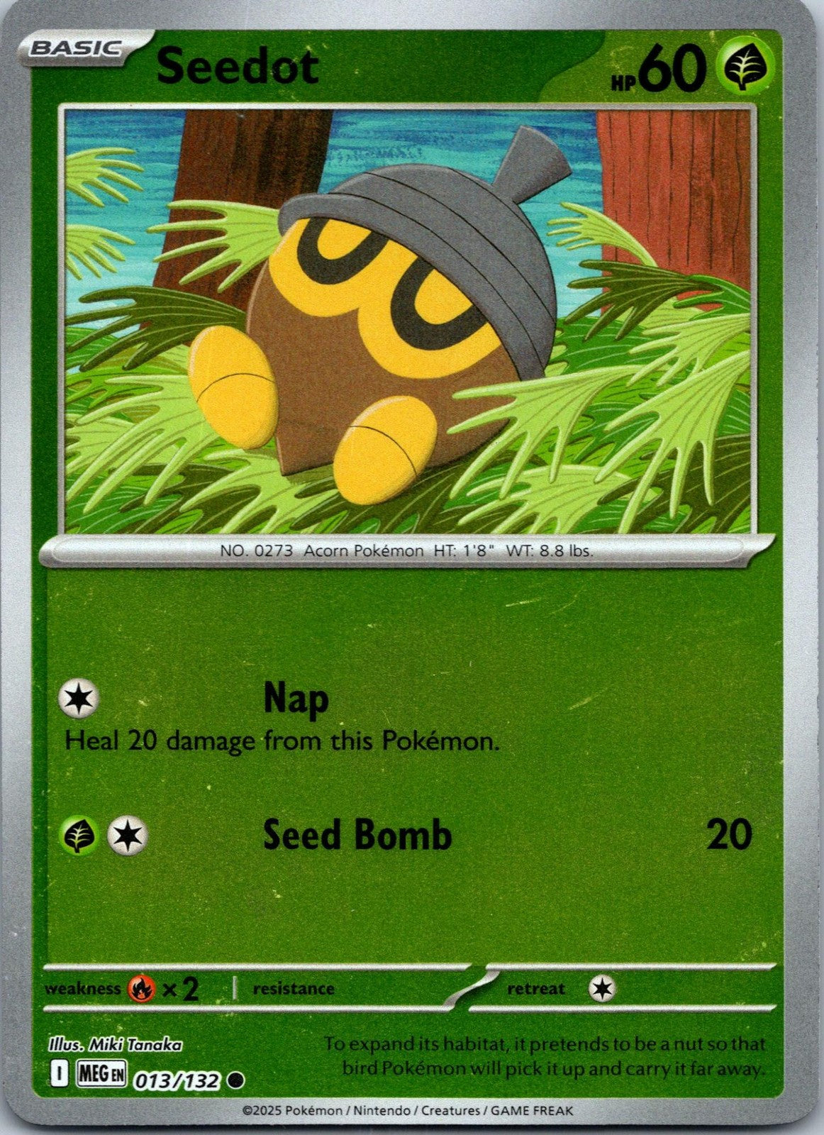 Seedot 013/132 Common Mega Evolution Pokemon Near Mint