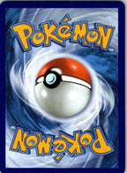 Piloswine 024/094 Common Phantasmal Flames Pokemon Near Mint