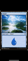 Magic the Gathering Land Card set 10 Units of Island (random arts)