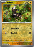 Blitzle 031/086 Common White Flare Pokemon Near Mint