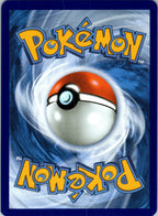 Seedot 013/132 Common Mega Evolution Pokemon Near Mint