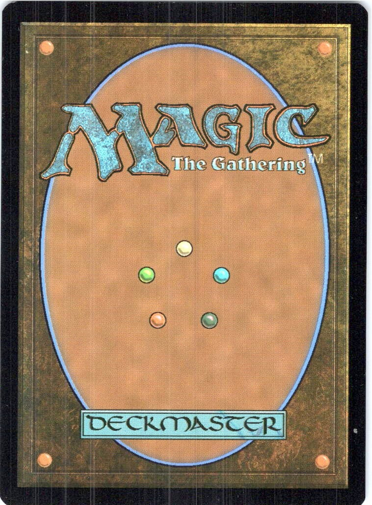 The Lion-Turtle (Borderless) Avatar: The Last Airbender Magic: The Gathering NM