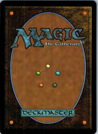 Seismic Tutelage 254 Avatar: The Last Airbender Magic: The Gathering NM