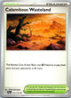 Calamitous Wasteland 175/193 Uncommon Paldea Evolved Pokemon Near Mint