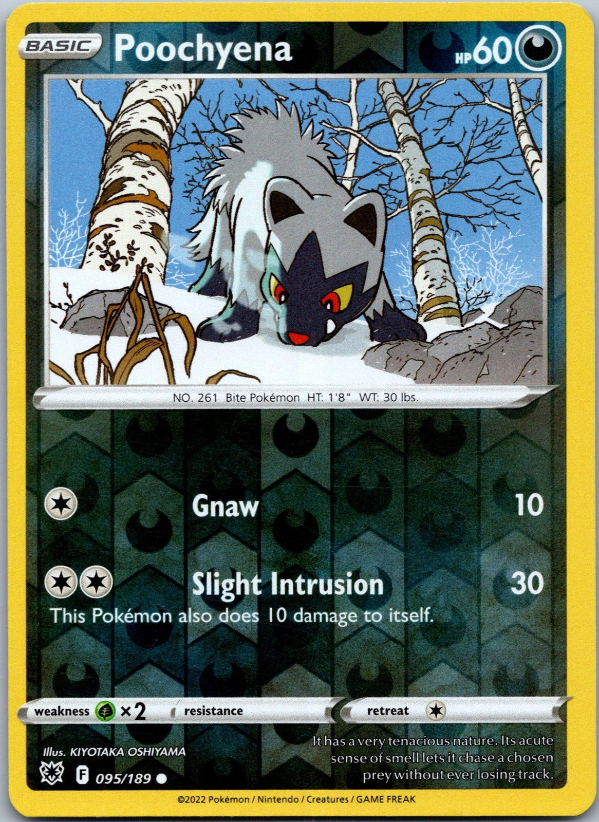 Poochyena 095/189 Common Astral Radiance Pokemon Near Mint