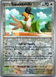 Squawkabilly 162/198 Common Scarlet & Violet Pokemon Near Mint