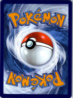 Panpour 017/086 Common Black Bolt Pokemon Near Mint