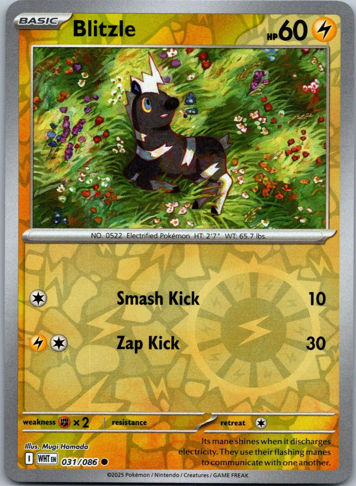 Blitzle 031/086 Common White Flare Pokemon Near Mint