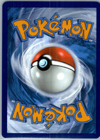 Phanpy 205/191 Illustration Rare Surging Sparks Pokemon Near Mint