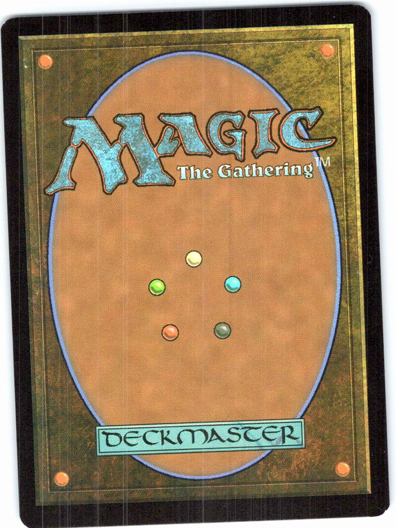 Turtle Power! 0135 Teenage Mutant Ninja Turtles Magic: The Gathering Foil NM