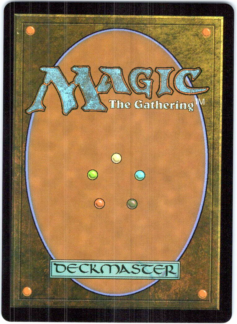Raph & Leo, Sibling Rivals Teenage Mutant Ninja Turtles Magic: The Gathering NM